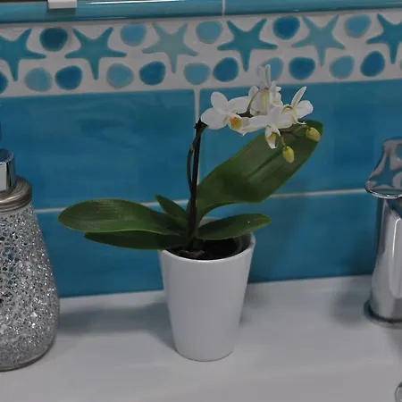 Casa Carola Apartment Positano