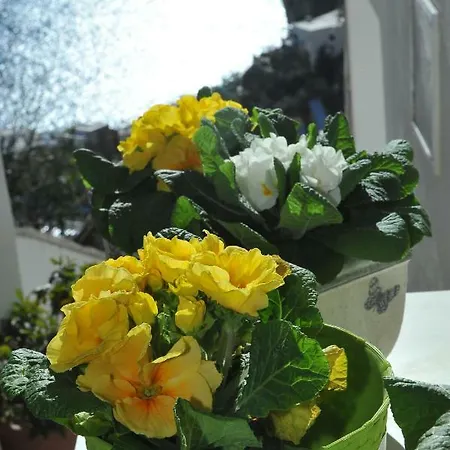 Casa Carola Positano