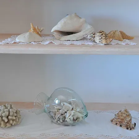 Casa Carola Apartamento